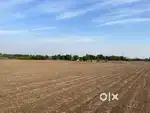 Non Agricultural & Agriculture Land in Industrial Area