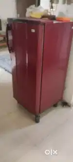 Lg Freeze single door