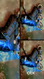 Skating shoes