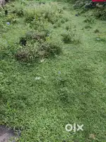 poka ghar asa