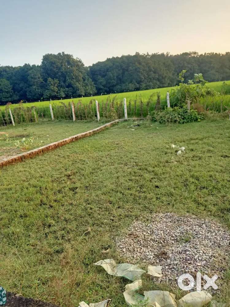 Plot for Sale Near Kissan Path 200 mtr