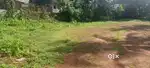 Residential land for sale in Aranatukara 1000000 per cent