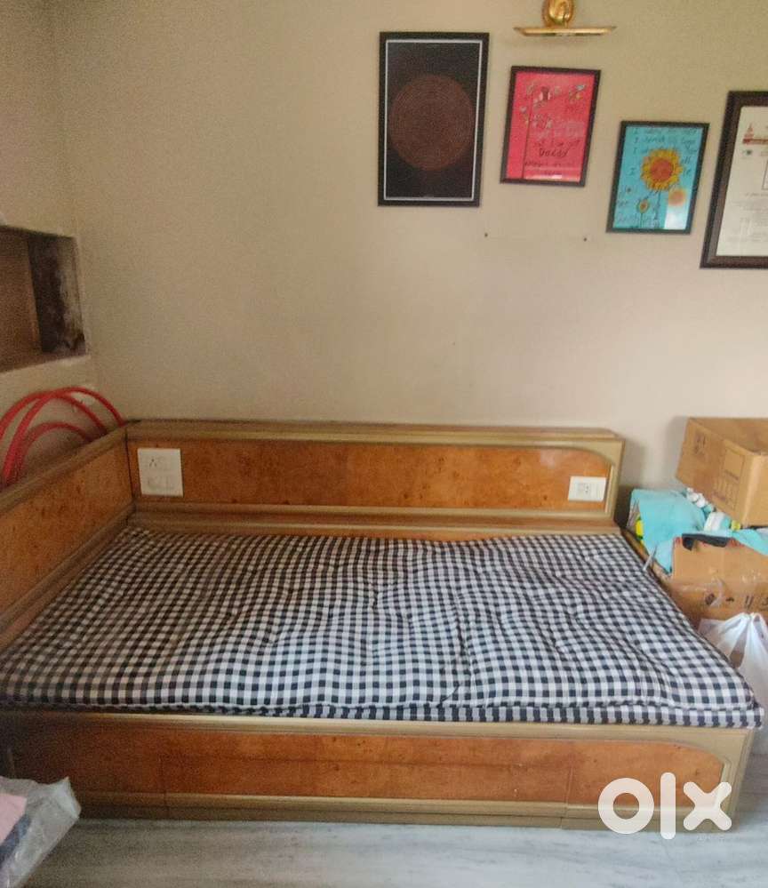 Sofa Cum Bed