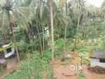 Plain plot