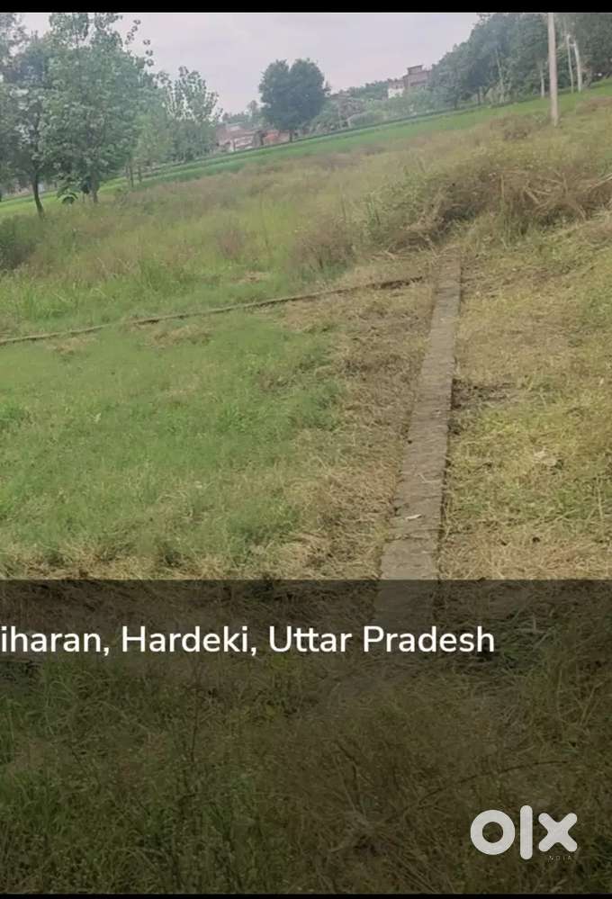 Rampur maniharan badgao road near Indian petrol pump hardeki