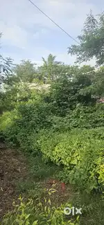 A plot near ayyalur metta circle