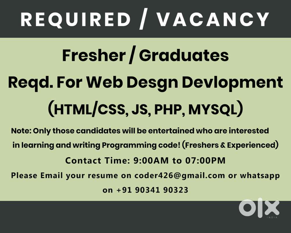 Web Developer