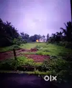 near new Chandor-Margao highway 1000sqmt settlement plot