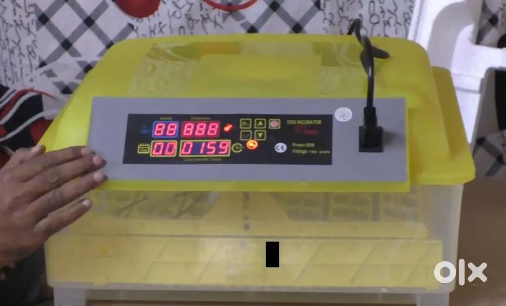 48 Egg Incubator with 12V DC Power Automatic Temperature  controler