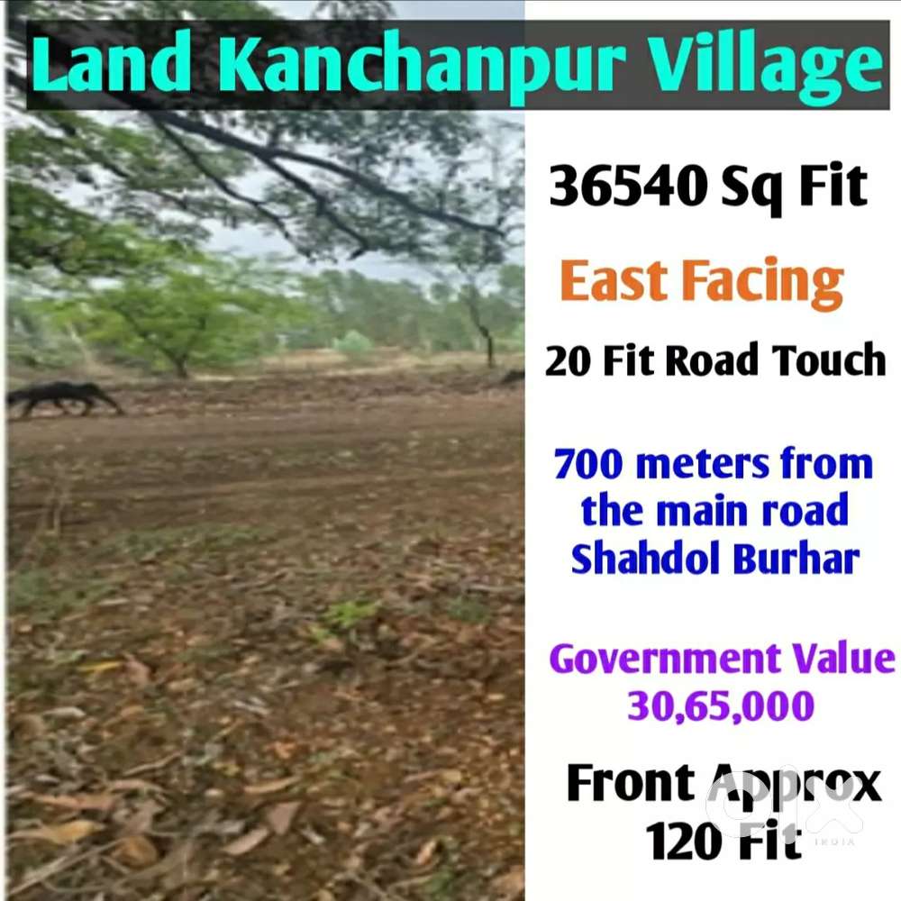 Commarcial and agriculture plot in kanchanpur