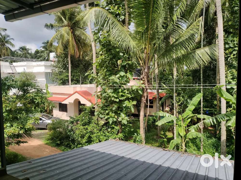 House for Sale with Spacious 14 Cent Plot!