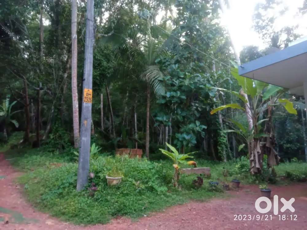 കോഴിക്കോട് അത്തോളിയിൽ 10 സെന്റ് സ്ഥലം വില്പനക്ക്
വില 3 ലക്ഷം സെന്റിന്