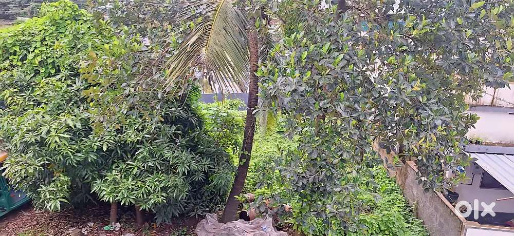 5 cent residential land for sale error