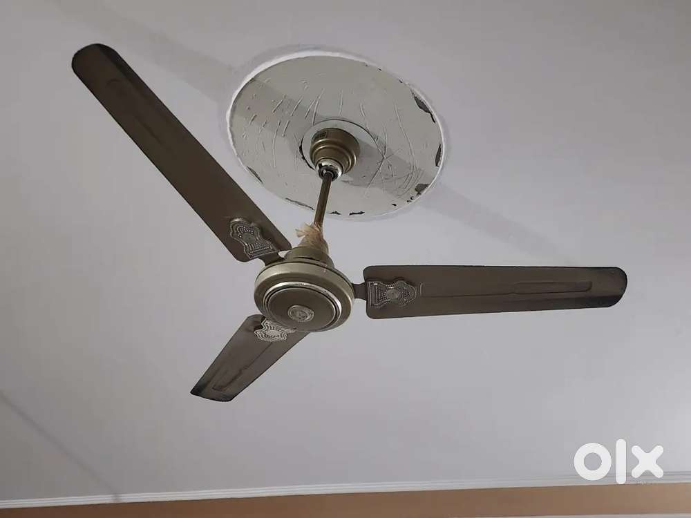Ceiling fans