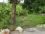 14 cent land for sale