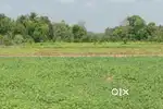 Landforsales