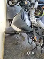 135ls pulsar single owner