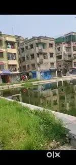 Low Budget Flat