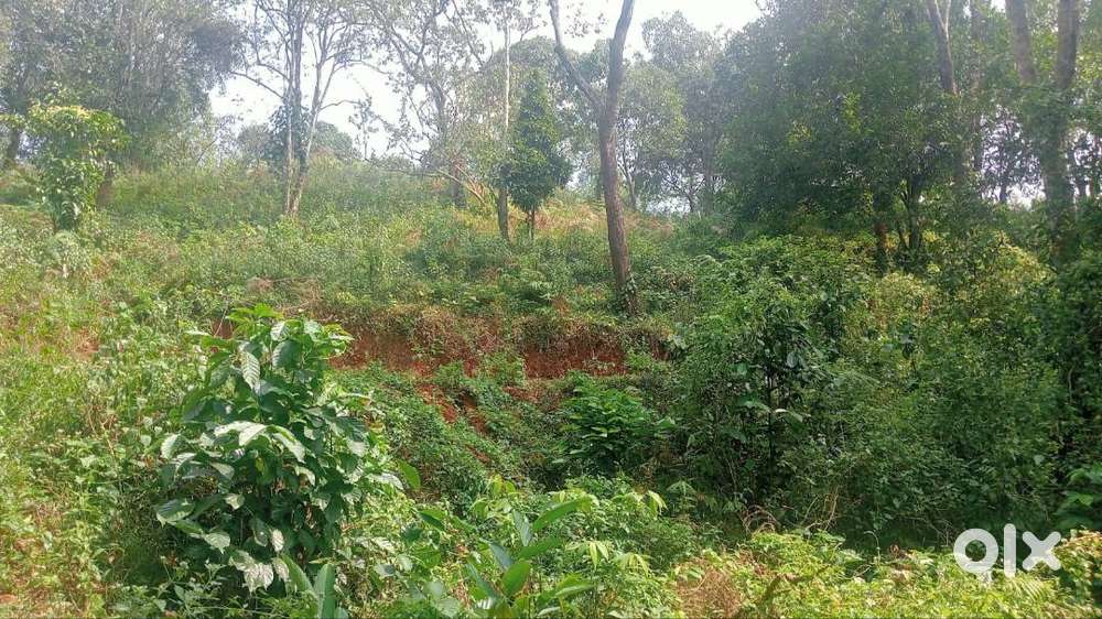 Wayanad Lakkidi’s Best! 1.70 Acre South-Facing Plot Close to View Poin