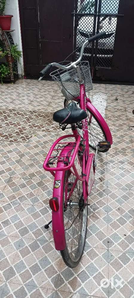 Lady bird bicycle