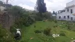Good price and lovely nature place