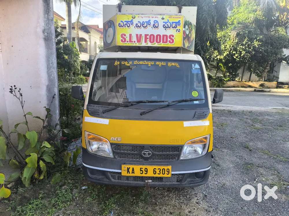 TATA ACE GOLD PETROL