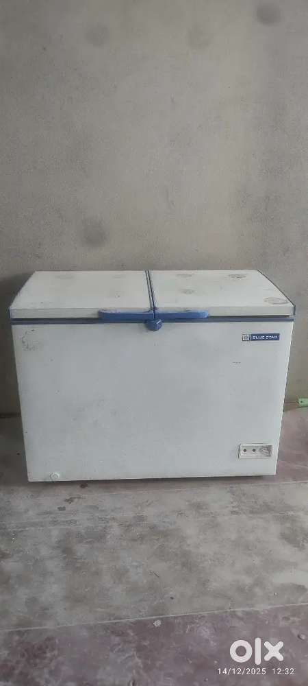 Blue Star 300li Deep Freezer