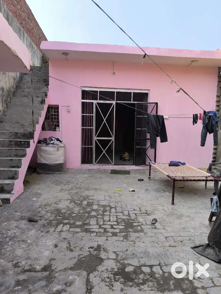 New house, Azad colony, Mandi samiti ke back side , Holi chock,nagina