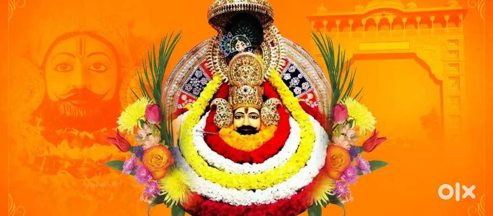 Plot all size available in project