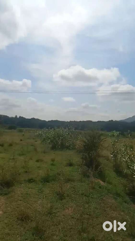 5acrs land for sale near Nimmanapalli, 25km fron Madanapalli