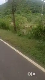 20 decimel plot  paramanpur nuamunda to bisalkhinda on damerroad