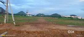 URGENT|| 7500 per sqyd |opposite Lingayas college Surampalli Gannava