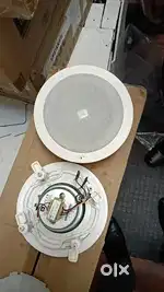 JBl 10 speaker