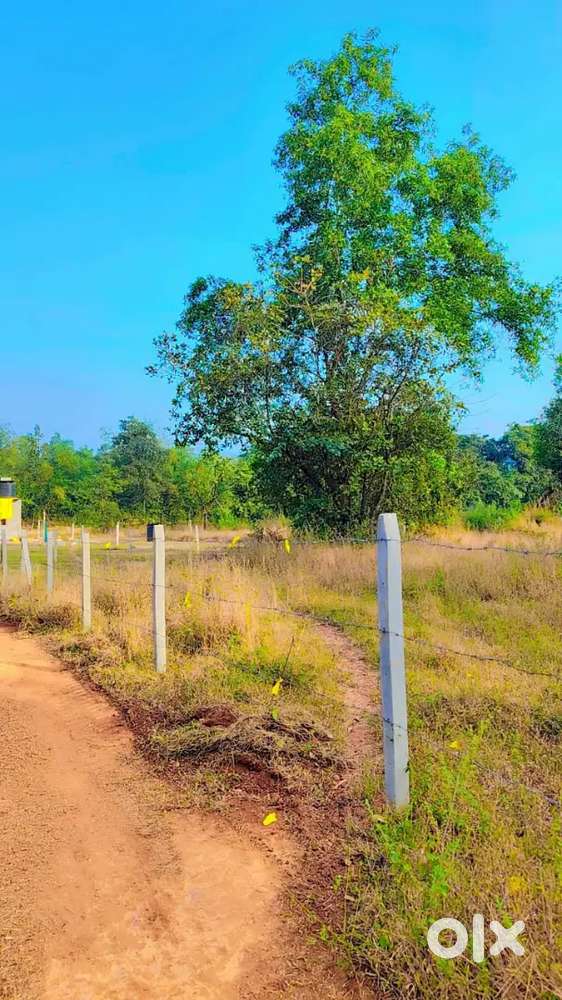 FULLY FENCED PROPERTY, PRICE@₹1299/SQ MTS, AAYEE, AREA 1026SQ MTS