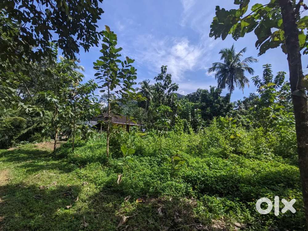 For sale in plot for farming or bulid houses