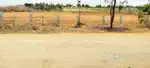 25 lakh per Acre Only,Negotiable,BT Road BIT,2.20 Acres agri land sale