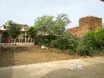 Khaali Plot Bikau Hai