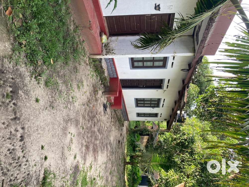House for rent at Punnapara alappuzha  near kseb sub station