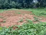 Kottayam.     Kidangoor