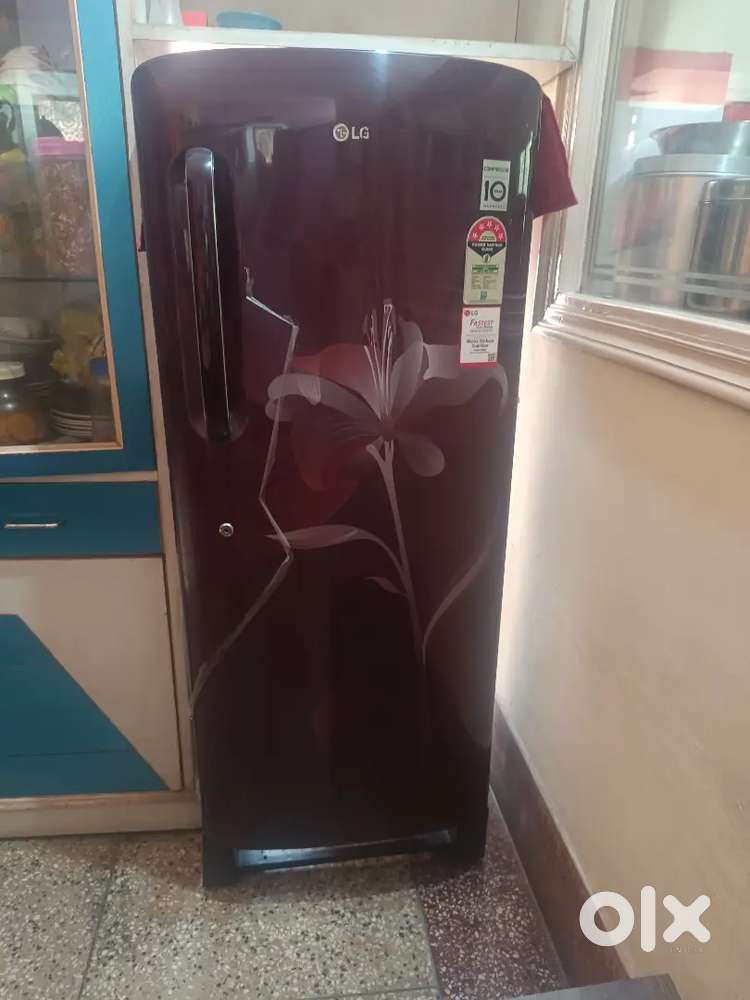 LG REFRIGERATOR 235 LIT 5 STAR RATING