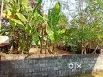 7 Cent plot for sale Near Kaloor  Stadium.