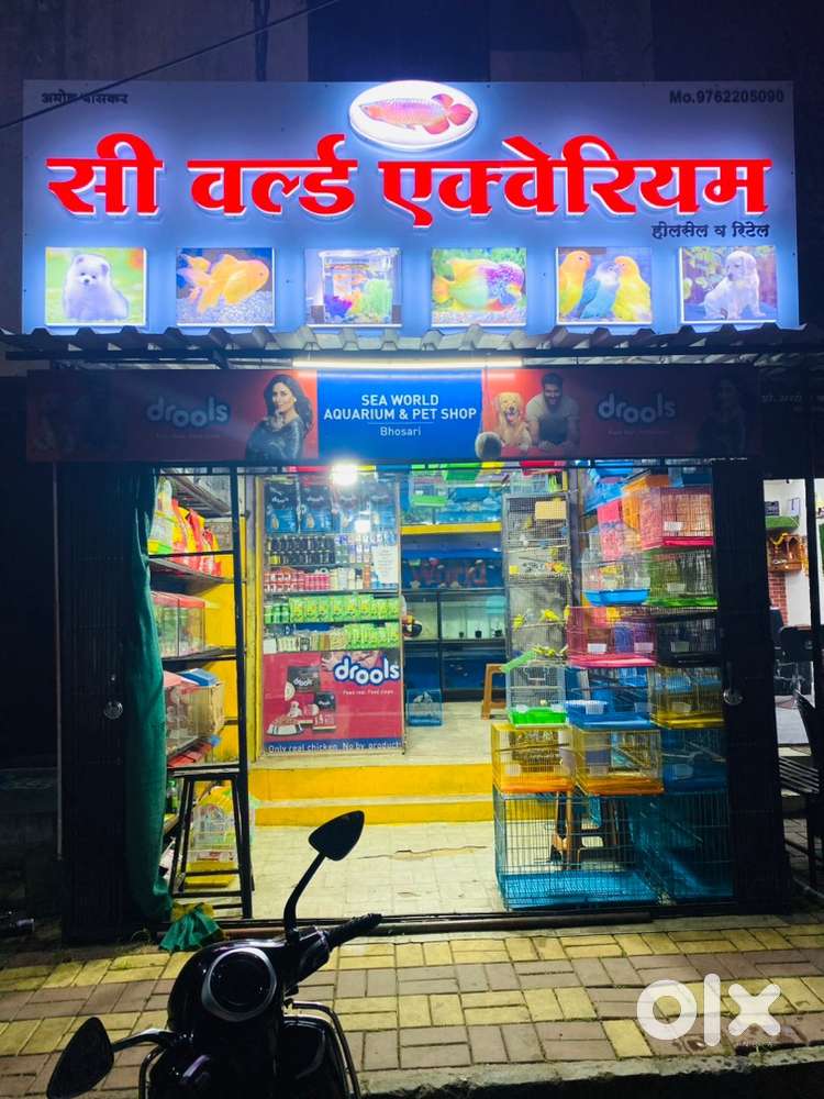 Pet shop  helper girl