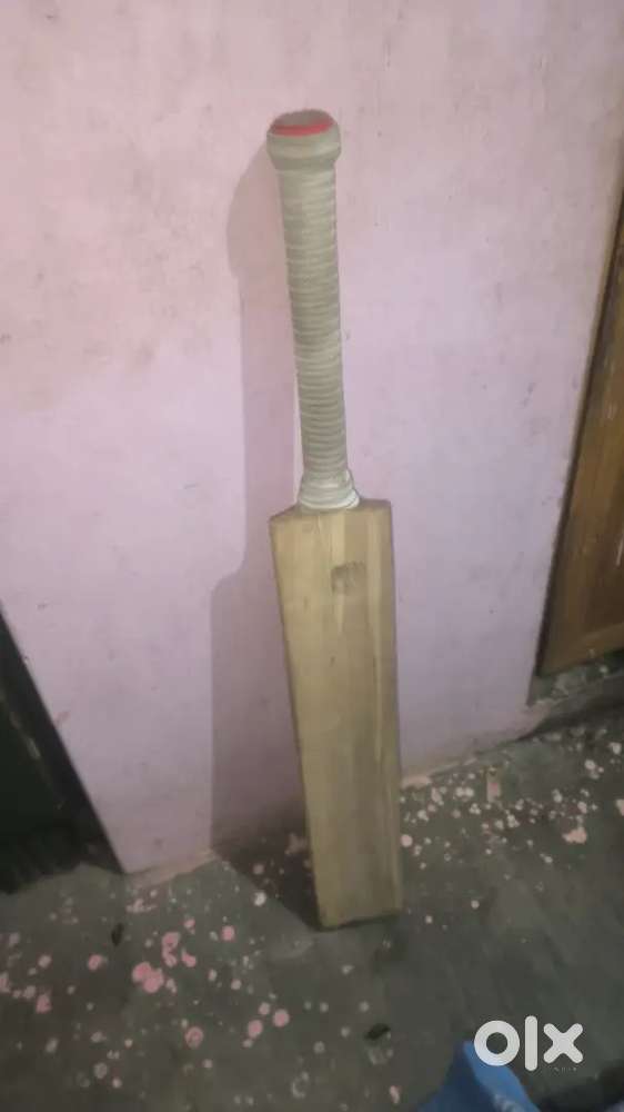 Cricket bat