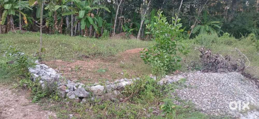 House plot poovachal vazhuthanamukal