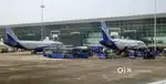 Cabin Crew/ Airport Ground Staff Jobs in Indigo airlines.