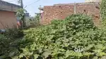 plot for sale in camp(laxmi/navab colony)- 100 gaj (30*30)