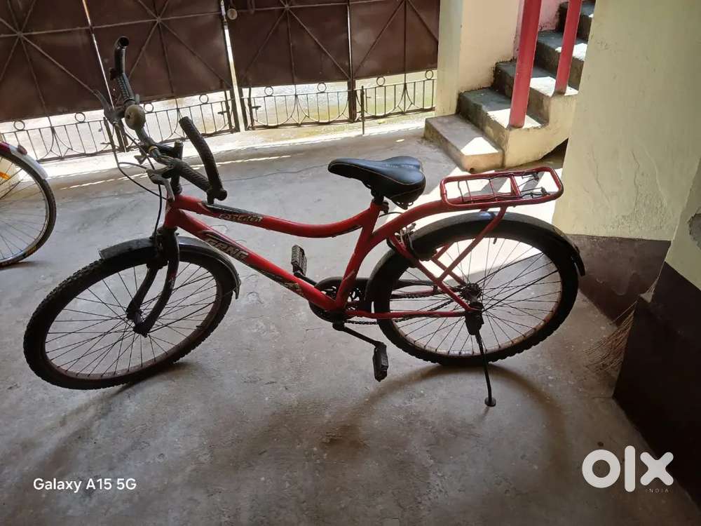 Gang catcher bicycle for boys