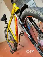 Phoenix brand new cycle without gear