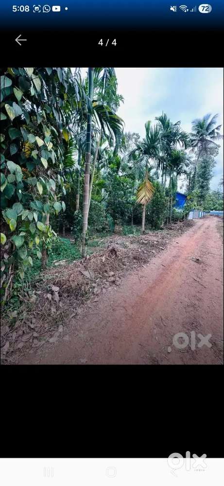 7 cent land near pattimattom 2.5 lakhs per cent