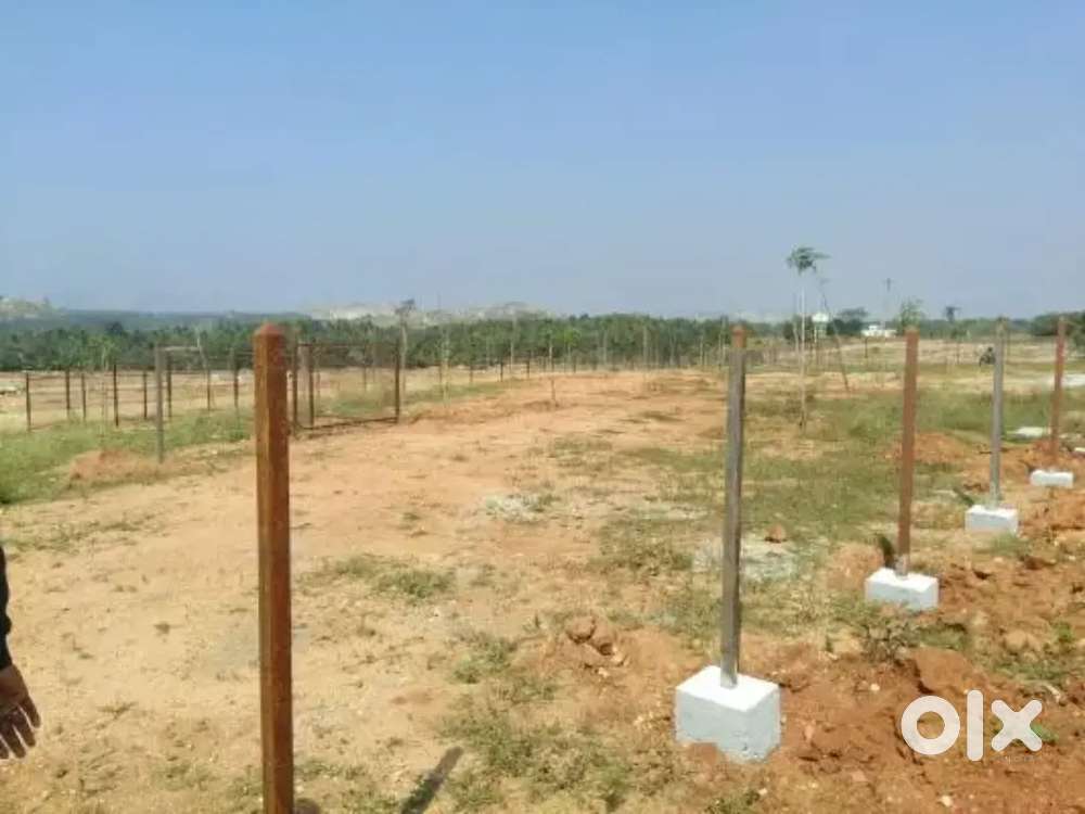 Residential plot Sale